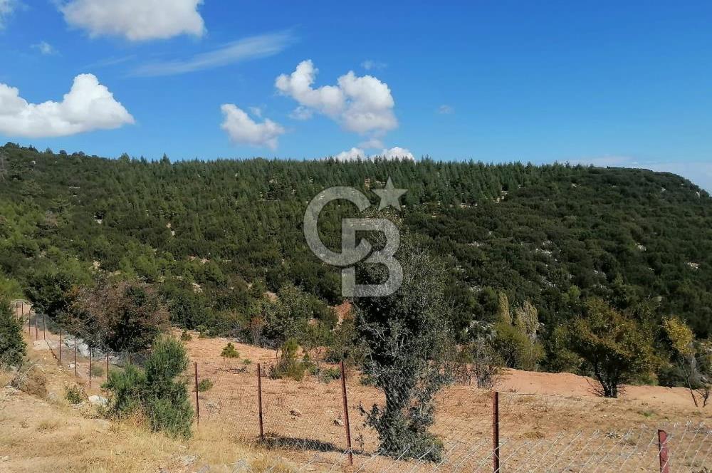 ANTALYA KORKUTELİ'NİN PARLAYAN GÜNEŞİ KEVZER'DE YATIRIMLIK SATILIK TARLA