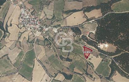 ÇANAKKALE YUKARIOKÇULAR KÖYÜ 5000 M2 SATILIK ARSA