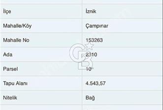 Bursa İznik Çampınar Full Göl Manzaralı
