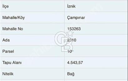 Bursa İznik Çampınar Full Göl Manzaralı