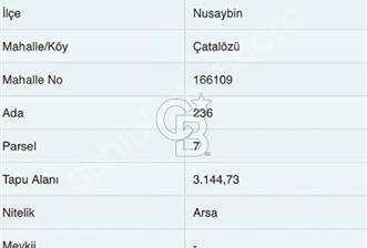 Mardin Nusaybin Çatalözü İmarlı Arsa