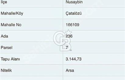 Mardin Nusaybin Çatalözü İmarlı Arsa