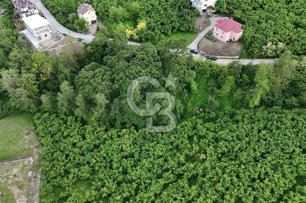TRABZON BENGİSU DA AZ EĞİMLİ 60 METRE YOLA CEPHE SATILIK ARAZİ