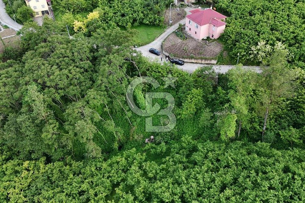 TRABZON BENGİSU DA AZ EĞİMLİ 60 METRE YOLA CEPHE SATILIK ARAZİ