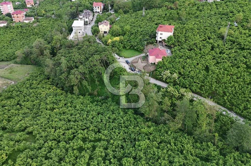 TRABZON BENGİSU DA AZ EĞİMLİ 60 METRE YOLA CEPHE SATILIK ARAZİ