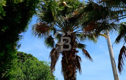 Eski Datça'da Lüks Butik Otel + 2 Bağımsız Müştemilat