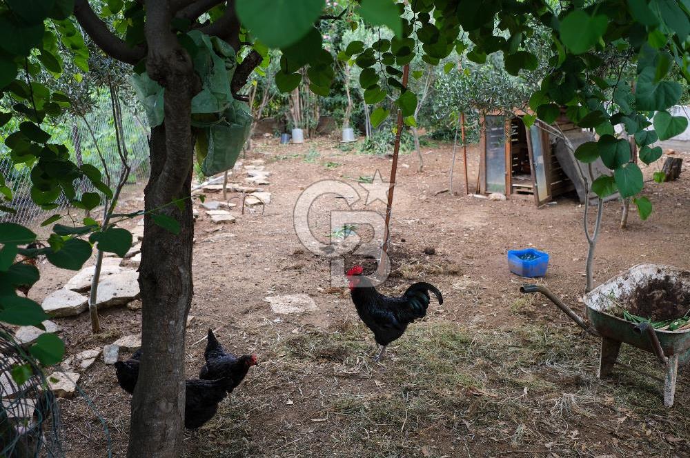 Eski Datça'da Lüks Butik Otel + 2 Bağımsız Müştemilat