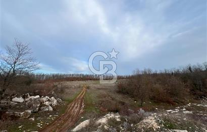 BURSA NİLÜFER UNÇUKURUNDA SATILIK TARLA