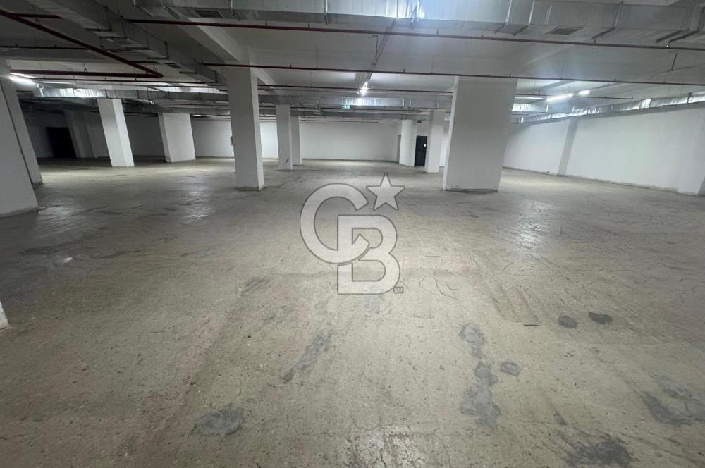 Sancaktepe Merkezde Atatürk Caddesine Cephe Kiralık Plaza Bodrum Katı