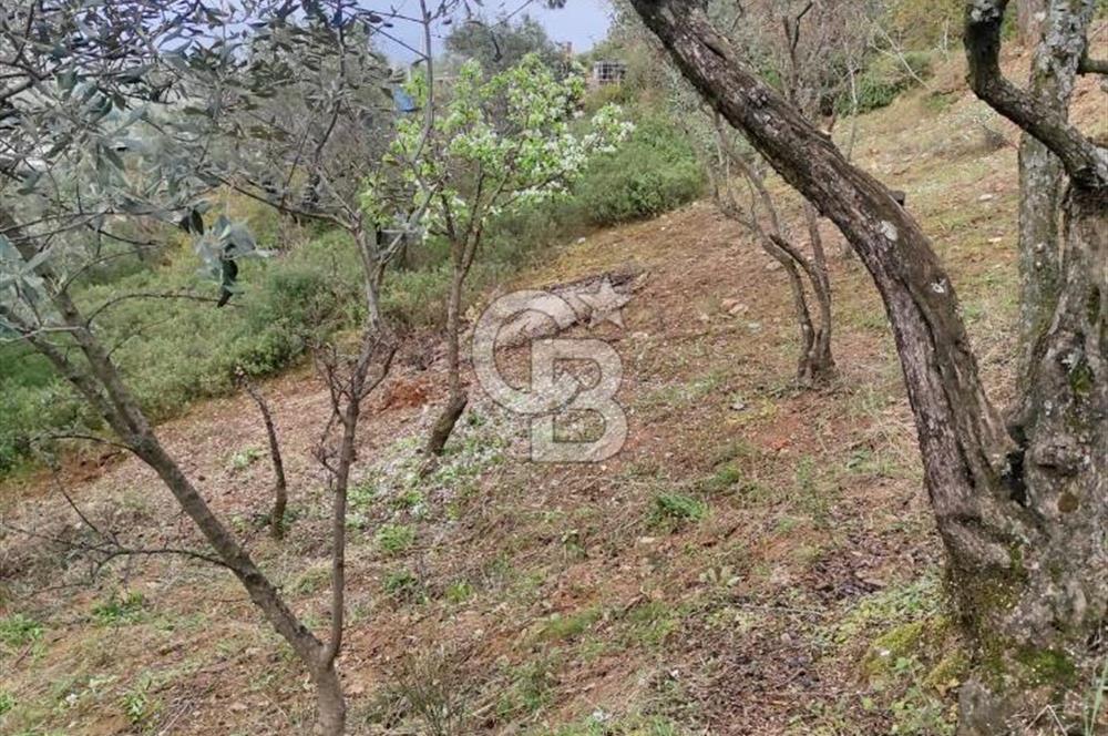 KEMALPAŞA BAĞYURDU İMAR SINIRINDA MÜSTAKİL TAPULU SATILIK PARSEL