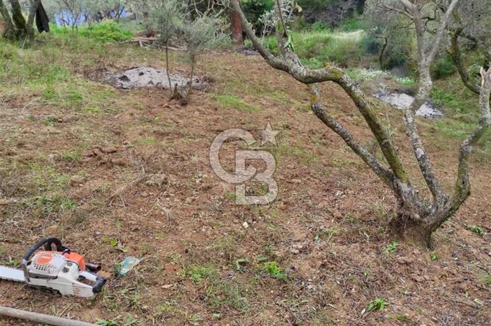 KEMALPAŞA BAĞYURDU İMAR SINIRINDA MÜSTAKİL TAPULU SATILIK PARSEL