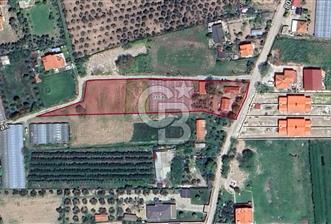 Urla'da Satılık Arsa