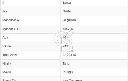 BURSA NİLÜFER UNÇUKURUNDA SATILIK TARLA