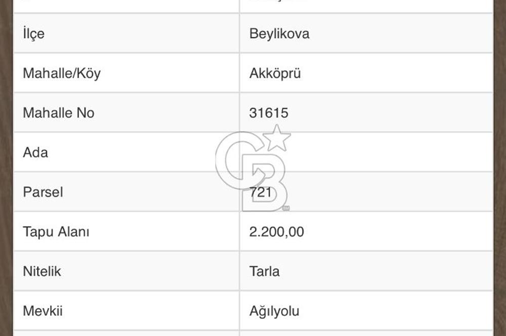 CB CITY'DEN ESKİŞEHİR BEYLİKOVA AKKÖPRÜ MH. SATILIK TARLA