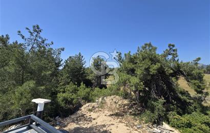 BUCA GÖLET YAKINI SATILIK 4+2 TAM MÜSTAKİL HAVUZLU TRIPLEX VİLLA