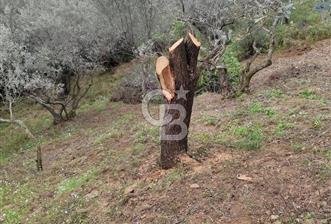 KEMALPAŞA BAĞYURDU İMAR SINIRINDA MÜSTAKİL TAPULU SATILIK PARSEL