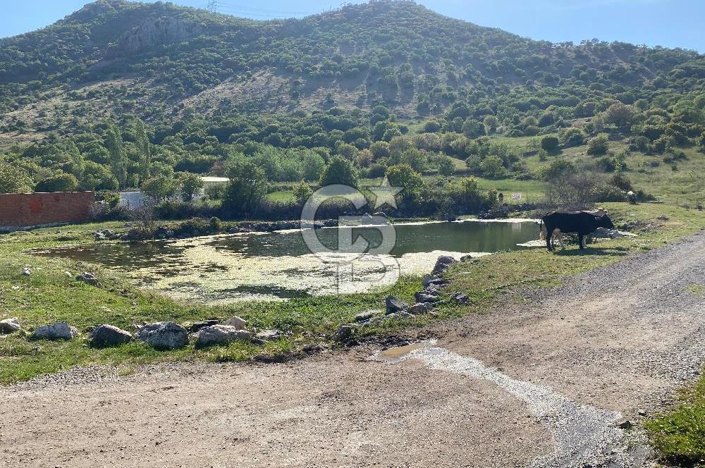 Menemen Turgutlar Köyü Doğanın Kalbin de Satılık Tarla