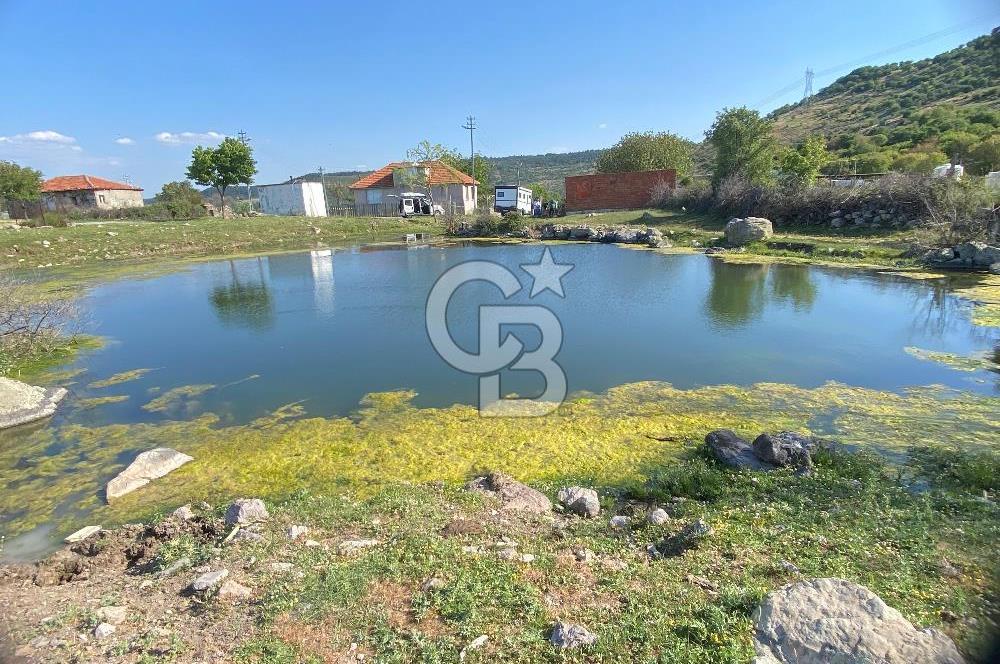 Menemen Turgutlar Köyü Doğanın Kalbin de Satılık Tarla
