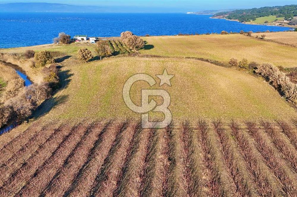 YAPILDAKTA MUHTEŞEM BOĞAZ MANZARALI DENİZE 150 METRE DÜZ TARLA
