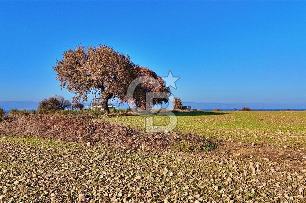 YAPILDAKTA MUHTEŞEM BOĞAZ MANZARALI DENİZE 150 METRE DÜZ TARLA