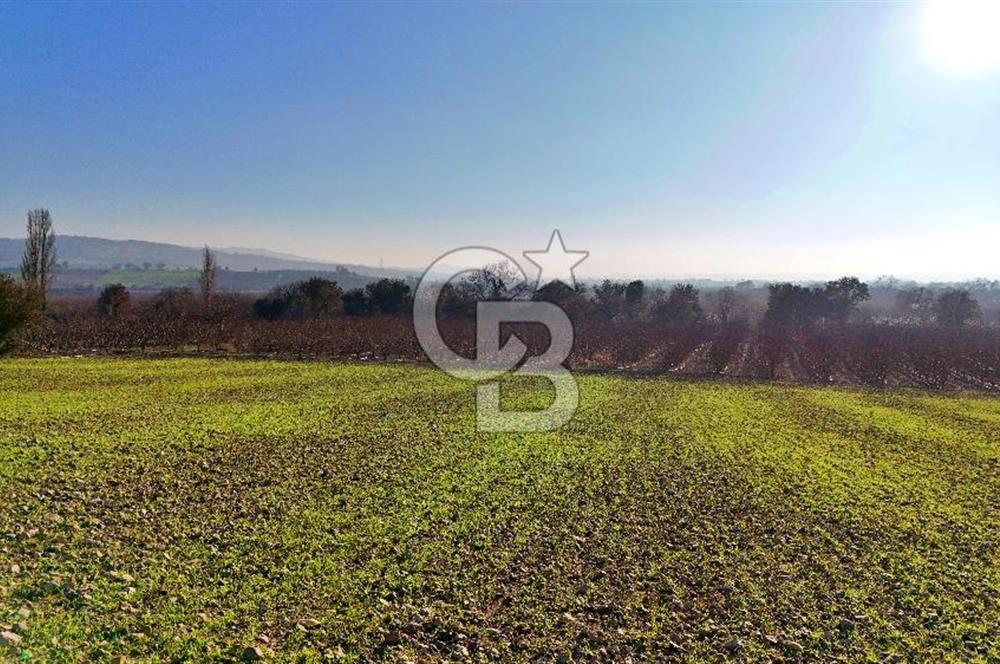 YAPILDAKTA MUHTEŞEM BOĞAZ MANZARALI DENİZE 150 METRE DÜZ TARLA