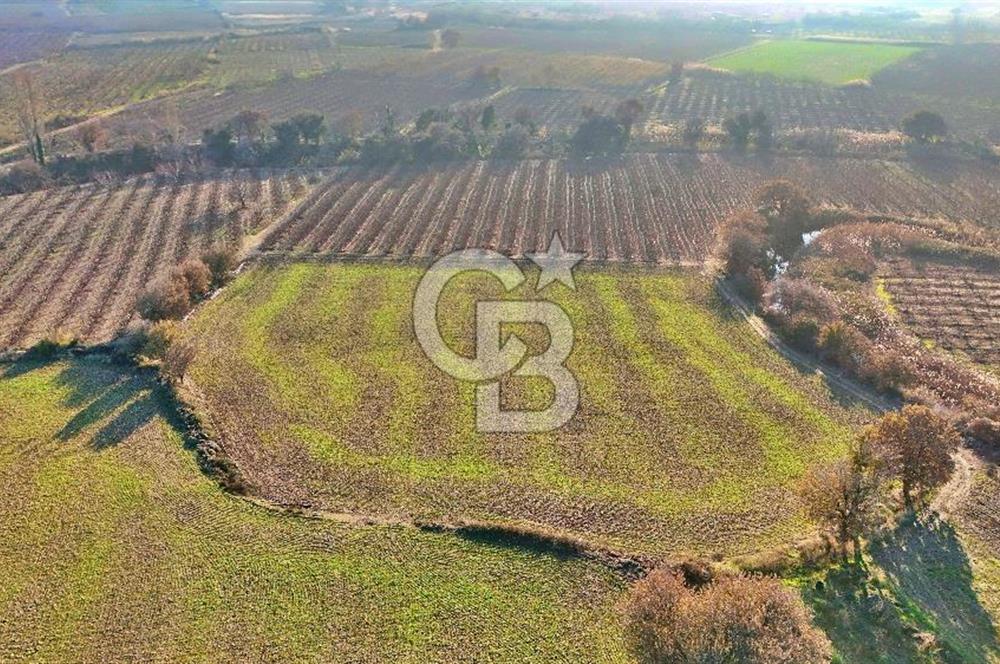 YAPILDAKTA MUHTEŞEM BOĞAZ MANZARALI DENİZE 150 METRE DÜZ TARLA