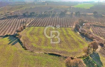 YAPILDAKTA MUHTEŞEM BOĞAZ MANZARALI DENİZE 150 METRE DÜZ TARLA
