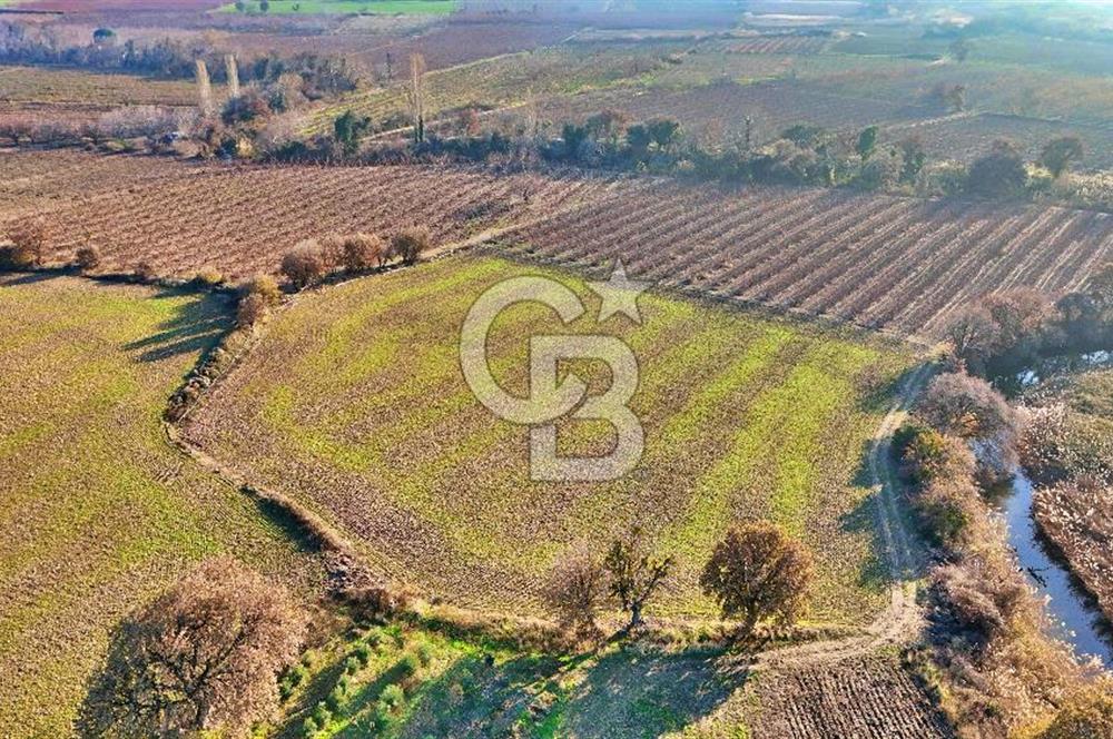 YAPILDAKTA MUHTEŞEM BOĞAZ MANZARALI DENİZE 150 METRE DÜZ TARLA