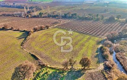 YAPILDAKTA MUHTEŞEM BOĞAZ MANZARALI DENİZE 150 METRE DÜZ TARLA