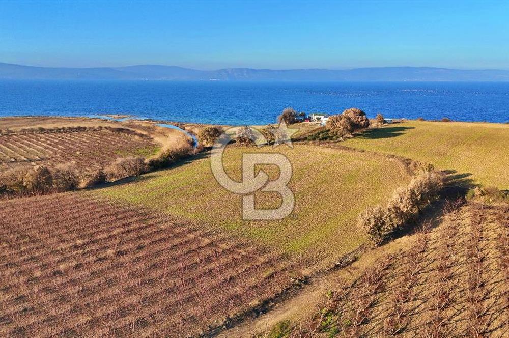 YAPILDAKTA MUHTEŞEM BOĞAZ MANZARALI DENİZE 150 METRE DÜZ TARLA