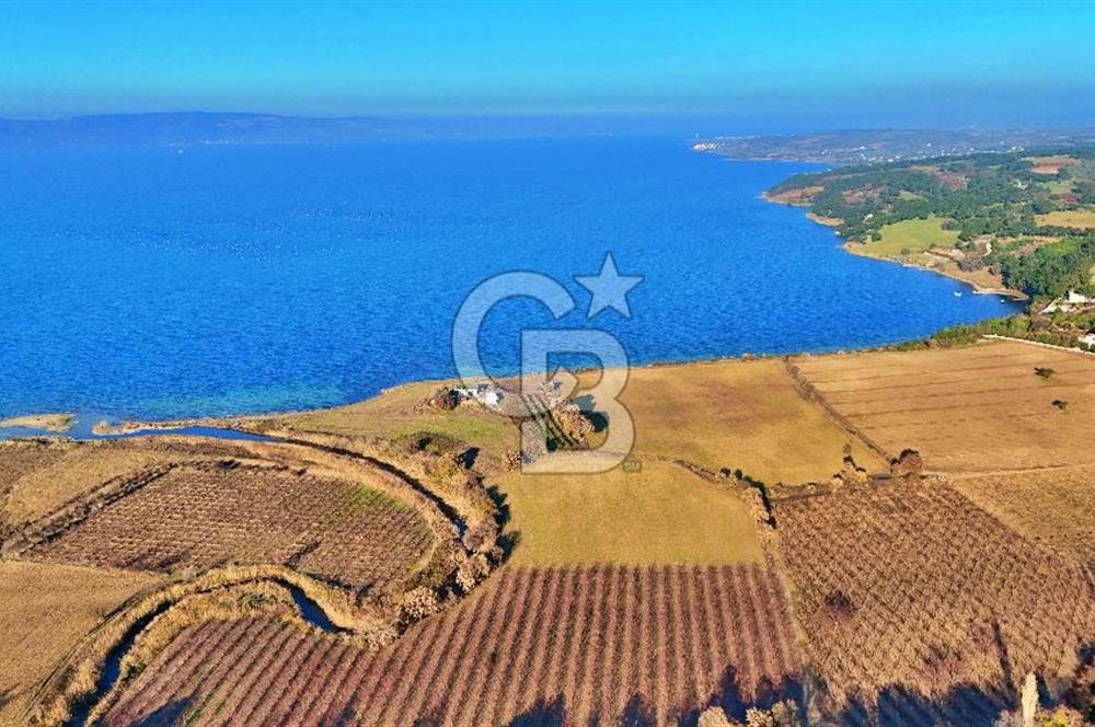 YAPILDAKTA MUHTEŞEM BOĞAZ MANZARALI DENİZE 150 METRE DÜZ TARLA