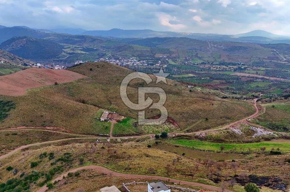 EGE DENİZİ MANZARALI TARLA