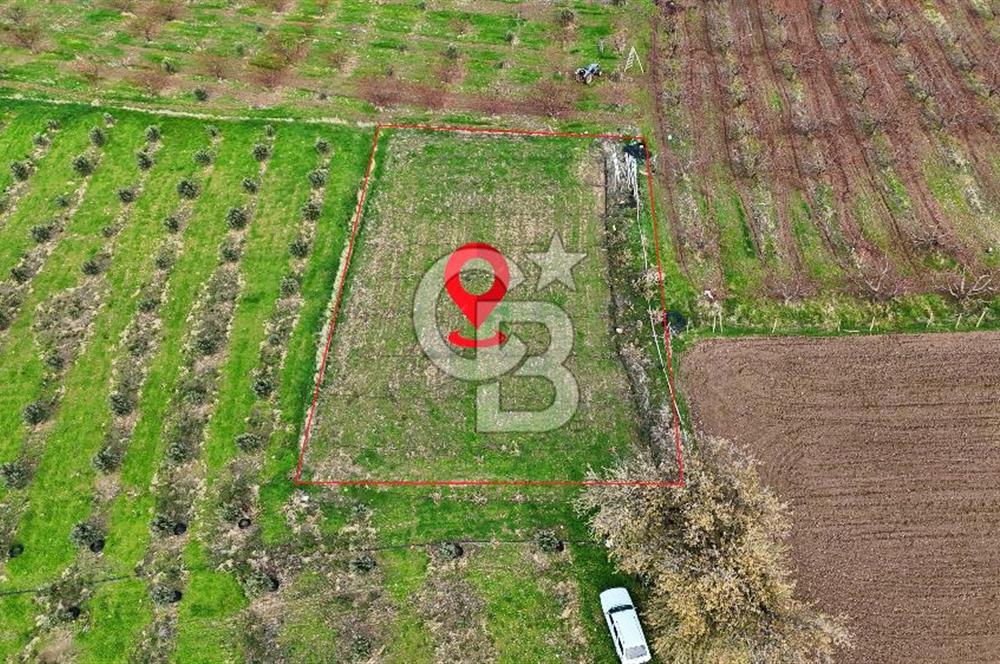 AYVACIK KÖSEDERE KÖYÜNDE OVADA DÜZ 1058 M² TARLA