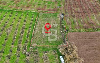 AYVACIK KÖSEDERE KÖYÜNDE OVADA DÜZ 1058 M² TARLA