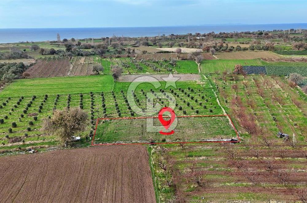 AYVACIK KÖSEDERE KÖYÜNDE OVADA DÜZ 1058 M² TARLA
