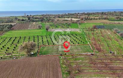 AYVACIK KÖSEDERE KÖYÜNDE OVADA DÜZ 1058 M² TARLA