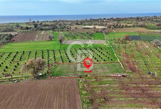 AYVACIK KÖSEDERE KÖYÜNDE OVADA DÜZ 1058 M² TARLA