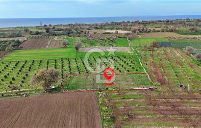 AYVACIK KÖSEDERE KÖYÜNDE OVADA DÜZ 1058 M² TARLA