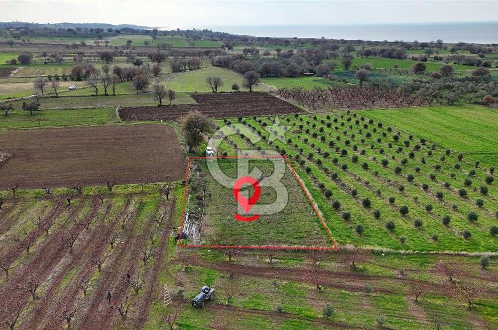 AYVACIK KÖSEDERE KÖYÜNDE OVADA DÜZ 1058 M² TARLA