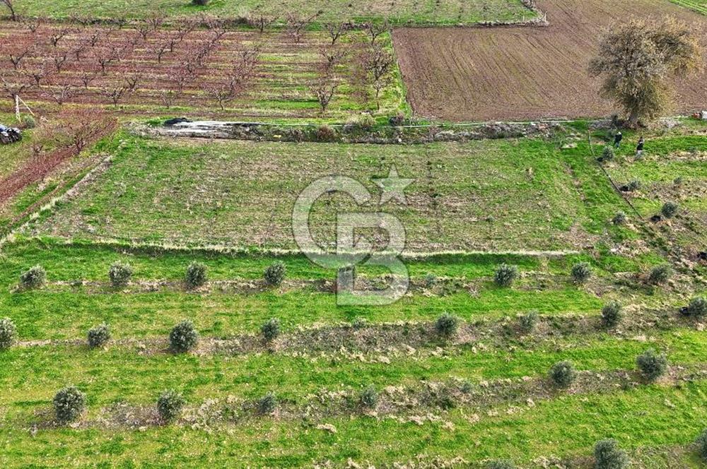 AYVACIK KÖSEDERE KÖYÜNDE OVADA DÜZ 1058 M² TARLA