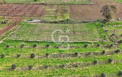AYVACIK KÖSEDERE KÖYÜNDE OVADA DÜZ 1058 M² TARLA