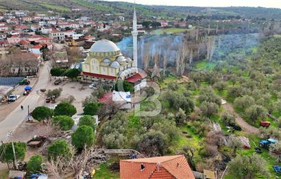 AYVACIK KÖSEDERE DE SARI ALANDA KALMIŞ KÖY İÇİ ZEYİNLİK