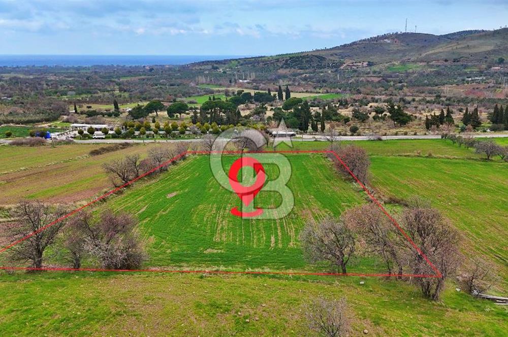 KÖSEDERE KÖYÜNDE ASFALTA 40 METRE DENİZ GÖREN TARLA