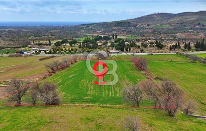 KÖSEDERE KÖYÜNDE ASFALTA 40 METRE DENİZ GÖREN TARLA
