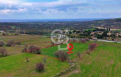 KÖSEDERE KÖYÜNDE ASFALTA 40 METRE DENİZ GÖREN TARLA
