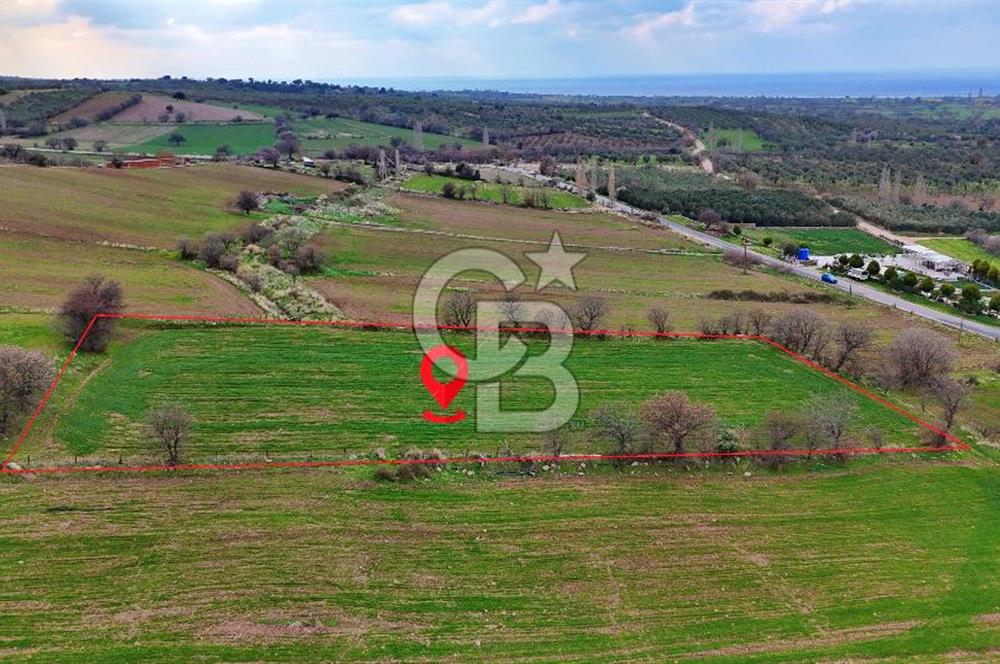 KÖSEDERE KÖYÜNDE ASFALTA 40 METRE DENİZ GÖREN TARLA