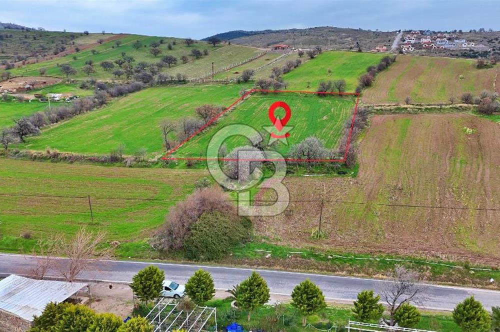 KÖSEDERE KÖYÜNDE ASFALTA 40 METRE DENİZ GÖREN TARLA