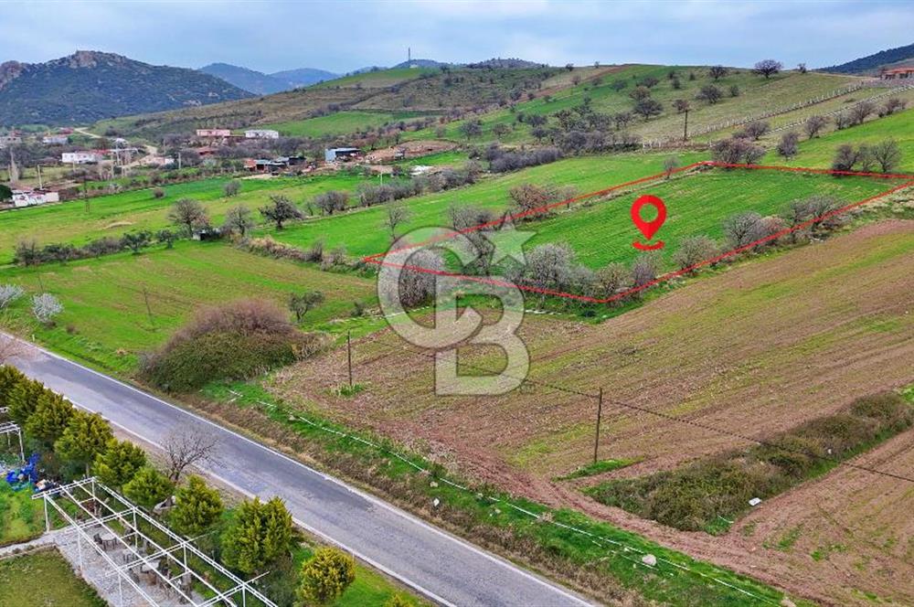 KÖSEDERE KÖYÜNDE ASFALTA 40 METRE DENİZ GÖREN TARLA