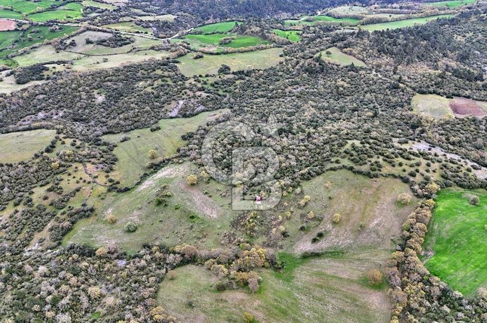 LAPSEKİDE KIRCALARDA İÇİNDE KULÜBESİ OLAN 29.544M² ARAZİ