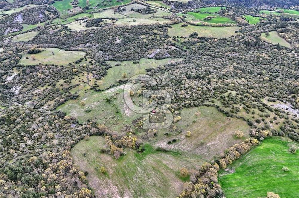 LAPSEKİDE KIRCALARDA İÇİNDE KULÜBESİ OLAN 29.544M² ARAZİ